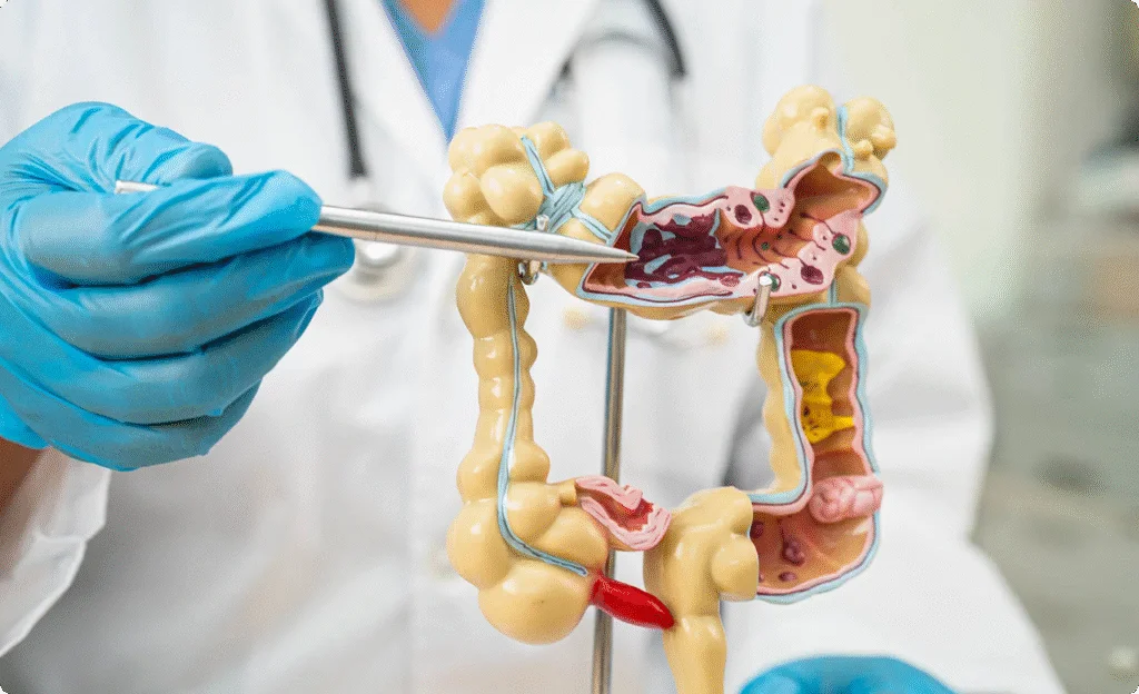 Why Holistic Thyroid Care Matters: Ayurvedic Insights and Remedies